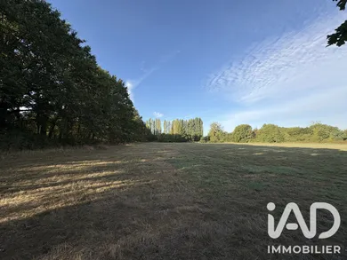 Terrain agricole à Spay (72700)