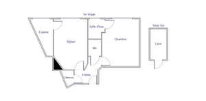 Apartment in Paris (75015)