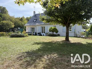 Maison traditionnelle à Saint-Cyr-sur-Loire (37540)