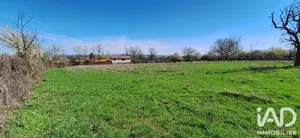 Building plot in Mizérieux (42110)