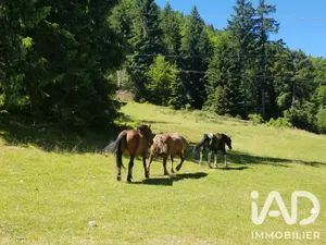 Commercial in Barèges (65120)