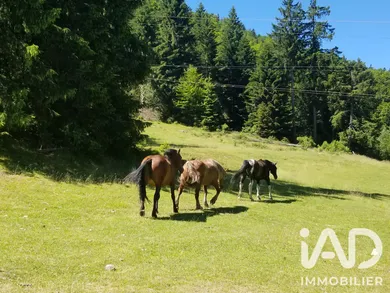 Boutique/Local commercial à Barèges (65120)