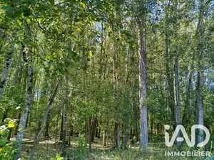 Land in Champigny-sur-Veude (37120)