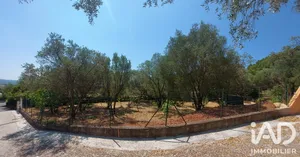 Terrain à bâtir à Solliès-Pont (83210)