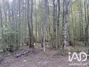 Terrain à bâtir à Sommecaise (89110)