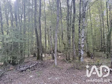 Terrain à bâtir à Sommecaise (89110)
