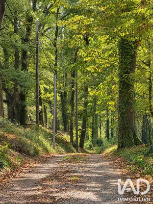 Domaine à Feucherolles (78810)