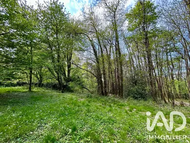 Terrain à bâtir à Reugny (37380)