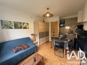 Appartement à Aragnouet (65170)
