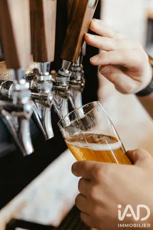 Bar, Brewery, Tobacco shop in Tours (37000)