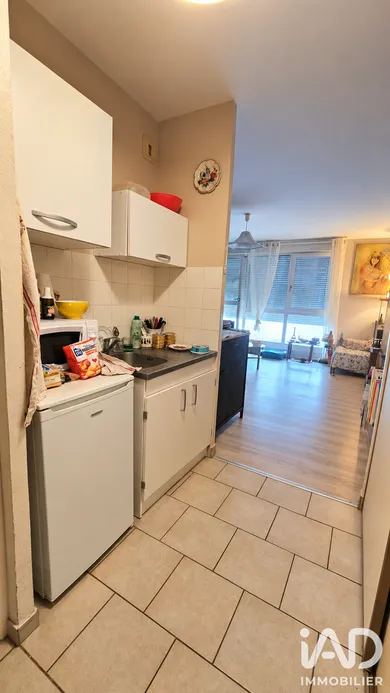 Apartment in Thorigny sur Oreuse (89260)