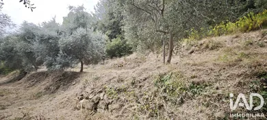 Terrain loisirs à MENTON (06500)