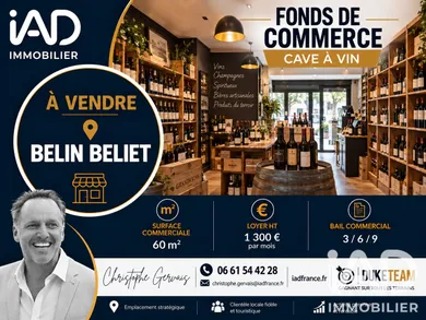 Divers Commerces à Belin-Béliet (33830)