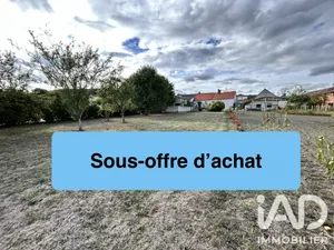 Village house in Moslins (51530)