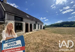 Maison de campagne à Villeneuve-sur-Yonne (89500)