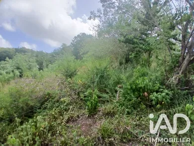 Terrain à Rivière-Pilote (97211)