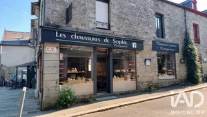 Chaussure, Cuir​ à Saint-Aubin-du-Cormier (35140)