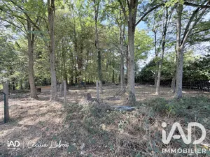 Land in Brannay (89150)