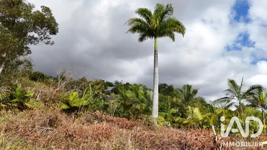 Terrain à bâtir à Saint-Leu (97436)