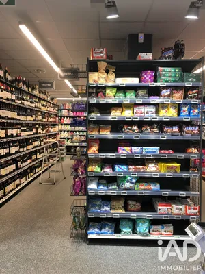 Food store in Maisons-Alfort (94700)