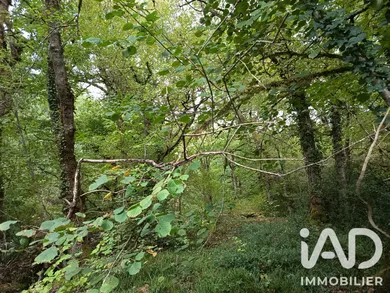 Terrain à Nedde (87120)