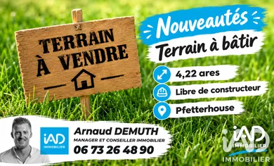 Terrain à bâtir à Pfetterhouse (68480)