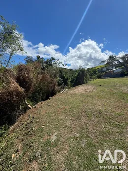 Terrain à Saint-Pierre (97410)