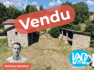 Farm in Usson-en-Forez (42550)