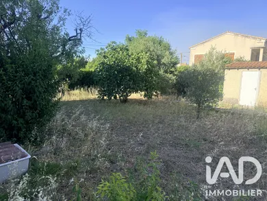 Maison traditionnelle à Morières-lès-Avignon (84310)