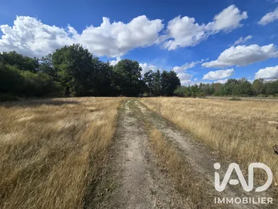 Terrain loisirs à Saint-Maurice-Sur-Fessard (45700)