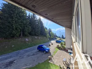 Appartement à Allevard (38580)