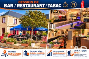 Bar, Brewery, Tobacco shop in Chenillé-Champteussé (49220)