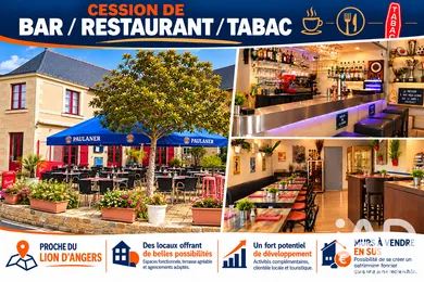 Bar, Brewery, Tobacco shop in Chenillé-Champteussé (49220)