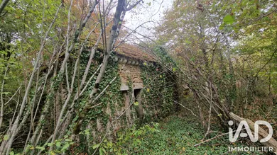 Ferme à Sainte-Colombe-sur-Seine (21400)
