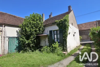 Maison à Thoury-Férottes (77940)