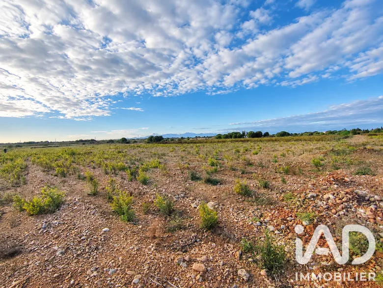 Terrain 9860 m² · à Salses-le-Château · 23 000 €