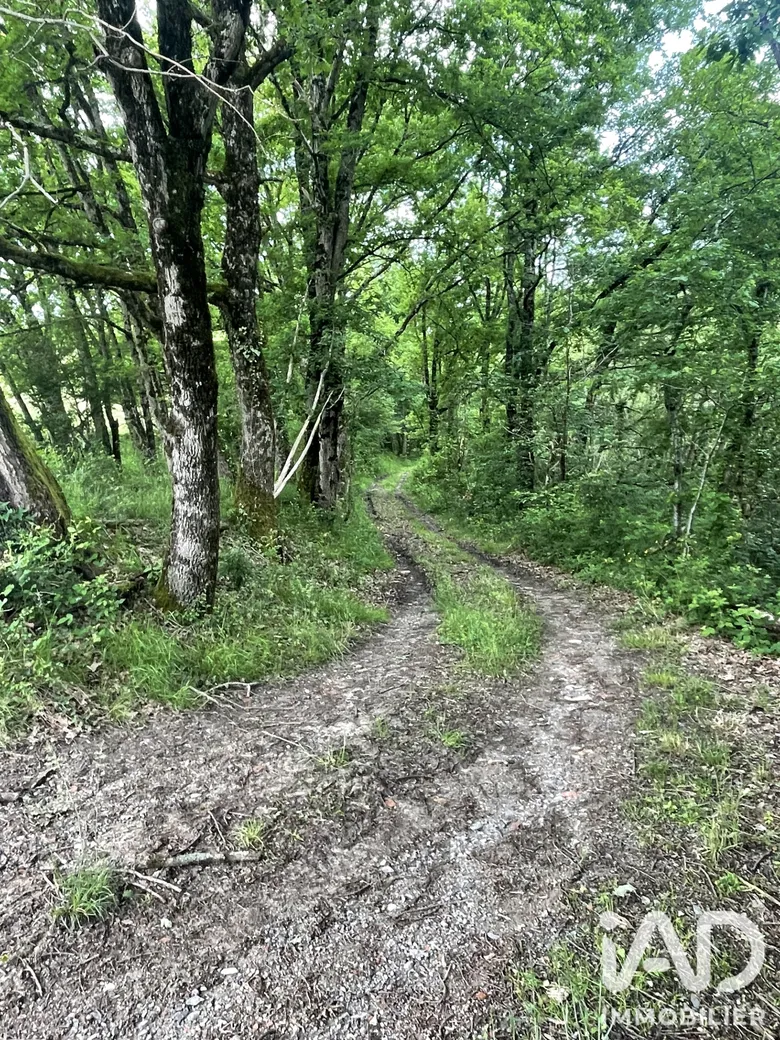 Terrain 8500 m² · à Lescure-d'Albigeois · 160 000 €