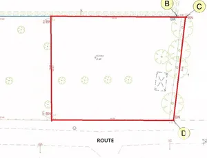 Building plot in Le Champ-Saint-Père (85540)