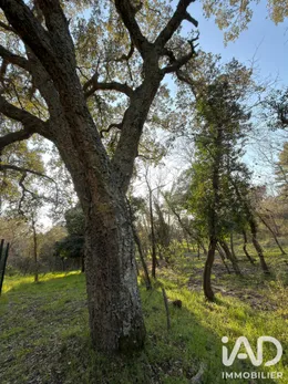 Building plot in Bagnols-en-Forêt (83600)