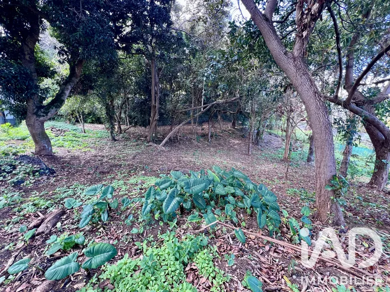 Terrain 438 m² · au Tampon · 145 000 €