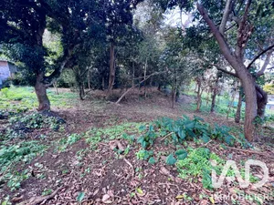 Terrain à bâtir à Le Tampon (97430)