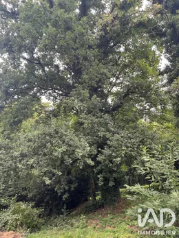 Terrain à bâtir à Bois-Guillaume (76230)