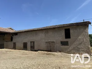 Farm in Chaneins (01990)