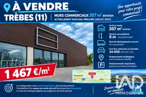 Boutique/Local commercial à Trèbes (11800)