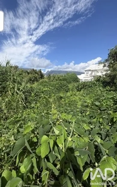 Terrain à sainte-Marie (97438)