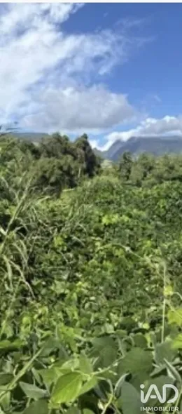 Terrain à bâtir à Sainte-Marie (97438)