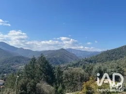 Divers Commerces à Val d'Aigoual (30570)