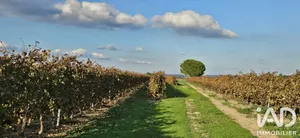 Terrain agricole  à usclas d'herault (34230)