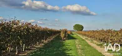 Terrain agricole à usclas d'herault (34230)